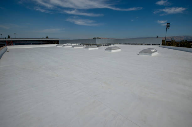 Best Solar Panel Roofing Installation  in Manchester, PA